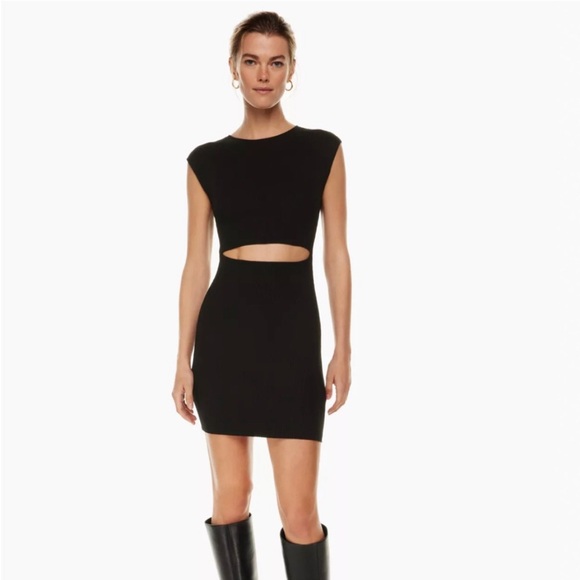 NWT Wilfred Free Cut-Out Knit Mini Dress - Picture 11 of 11